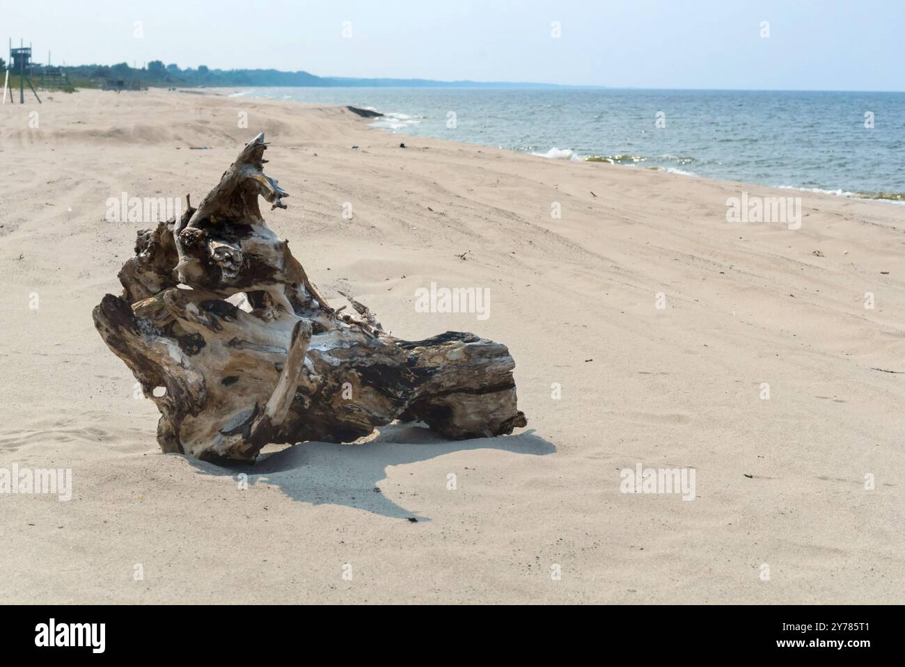 Un accroc en bois sur une plage de sable, un morceau de vieux bois sur le bord de mer Banque D'Images