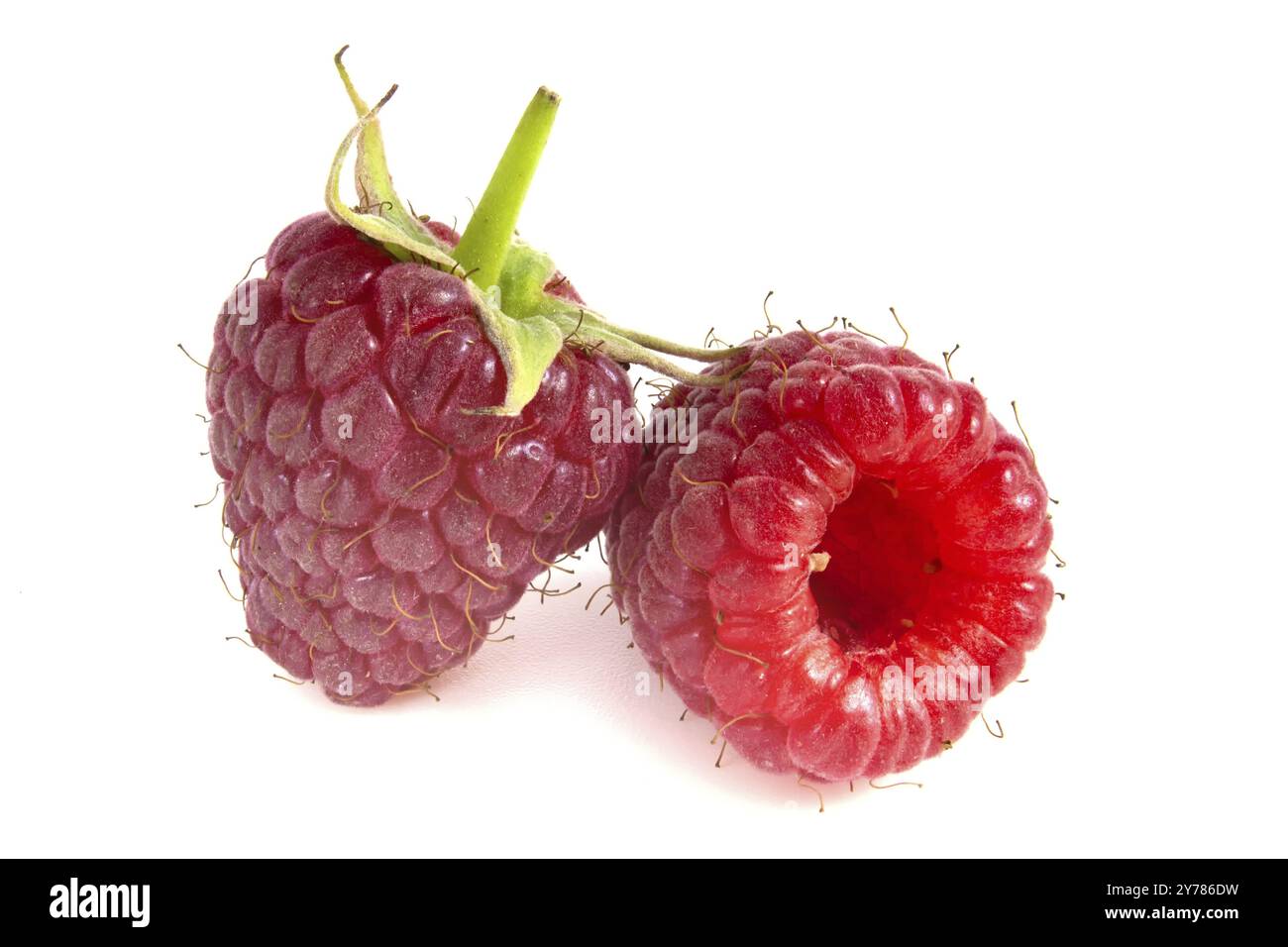 Deux framboises isolées sur fond blanc. Gros plan sur les baies fraîches Banque D'Images
