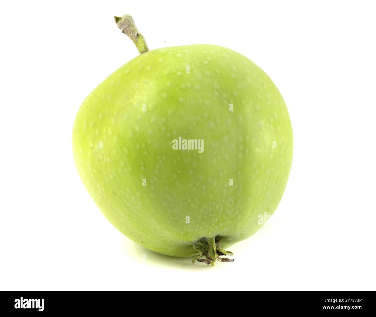 Pomme verte avec pédoncule isolée sur fond blanc Banque D'Images