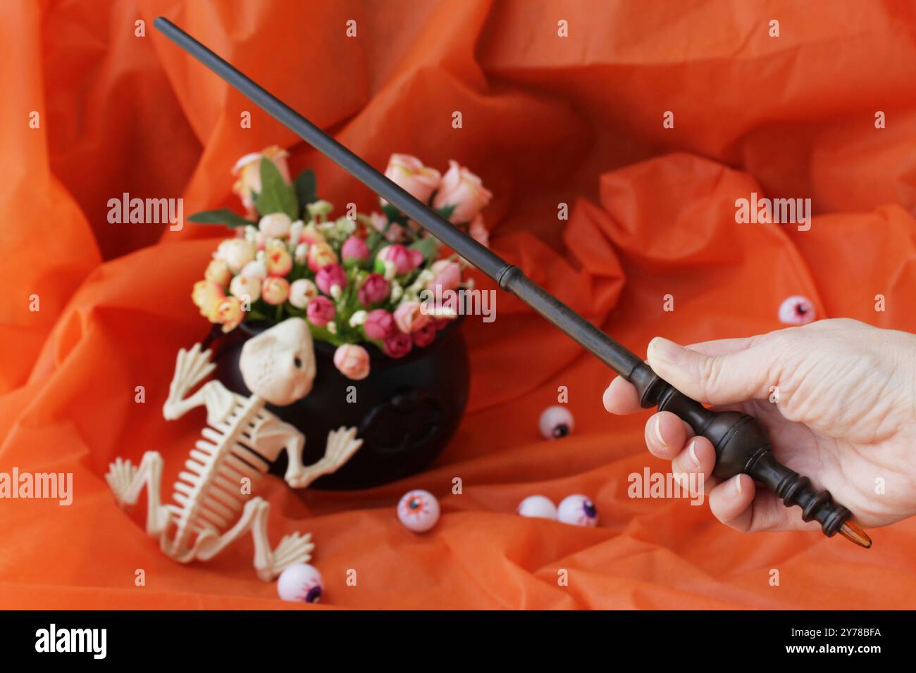 Squelette de grenouille mort effrayant, main de sorcier tenant une baguette, balles en plastique pour les yeux et chaudron noir de sorcière utilisé comme vase de fleurs sur une décoration d'Halloween. Banque D'Images