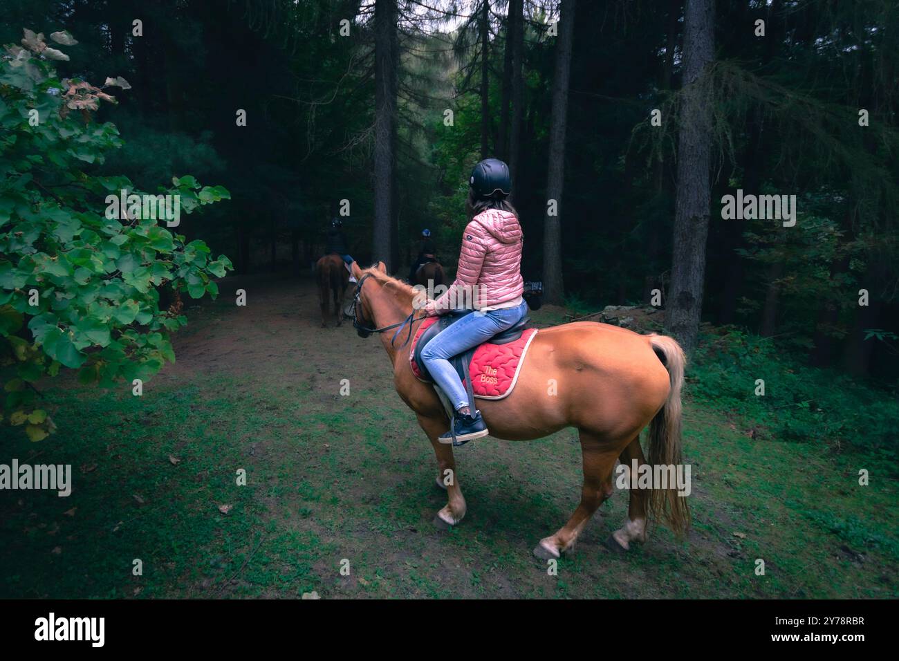 Équitation dans les bois. Banque D'Images