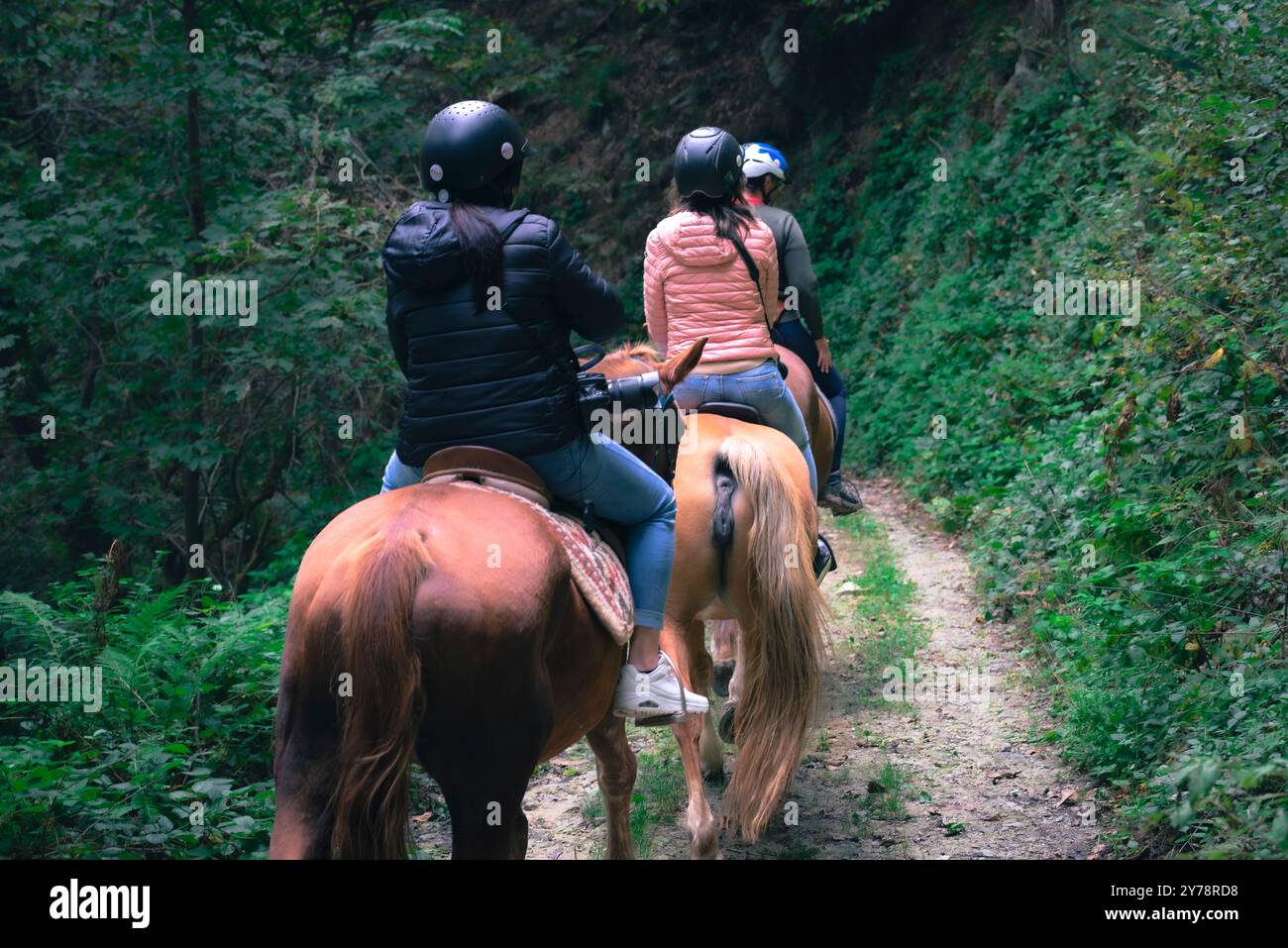 Équitation dans les bois. Banque D'Images