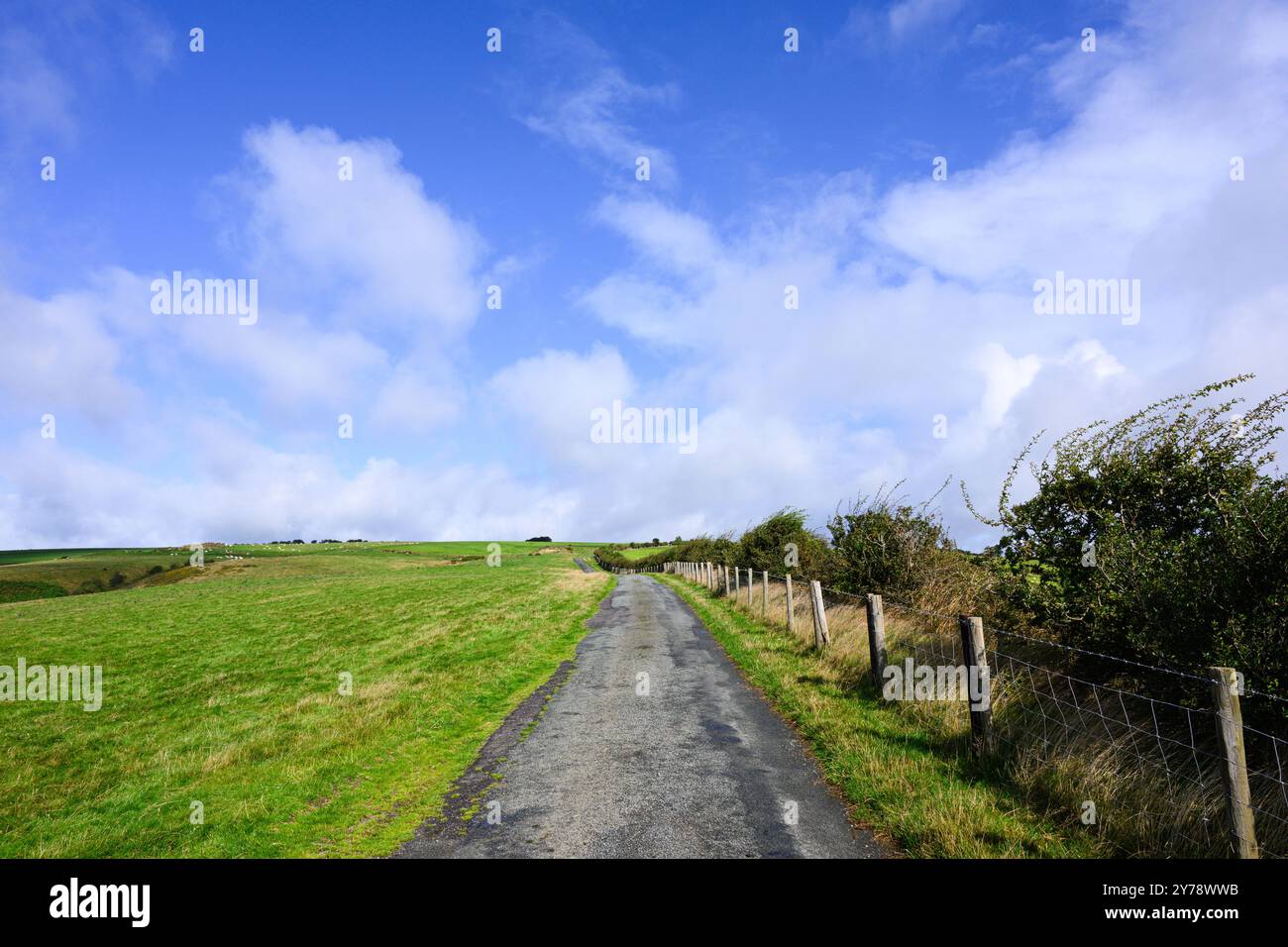 Route de campagne traversant le pays de colline verte avec clôture et champ vert le long de la frontière entre l'Angleterre et le pays de Galles Banque D'Images