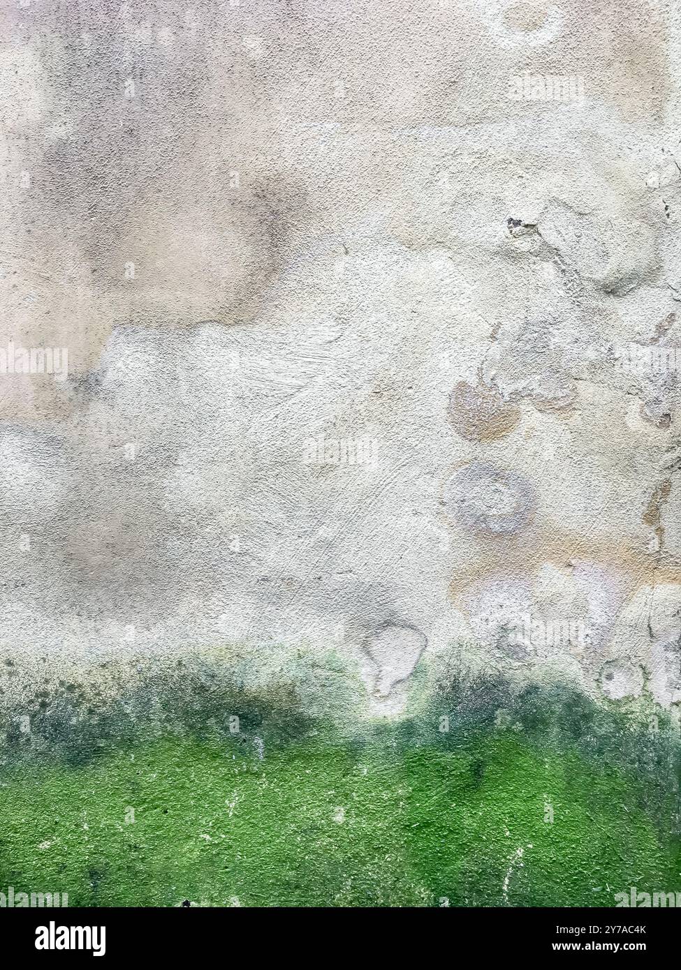 Mur endommagé par l'humidité, la moisissure, la mousse. Mauvaises conditions de vie. Le problème avec une humidité élevée, la lutte contre le champignon. Banque D'Images