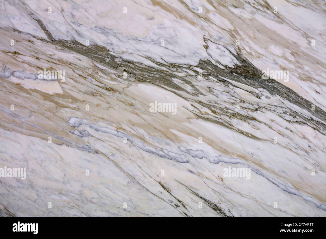 Texture en marbre naturel avec des veines dorées, idéale pour les projets de design d'intérieur. Banque D'Images
