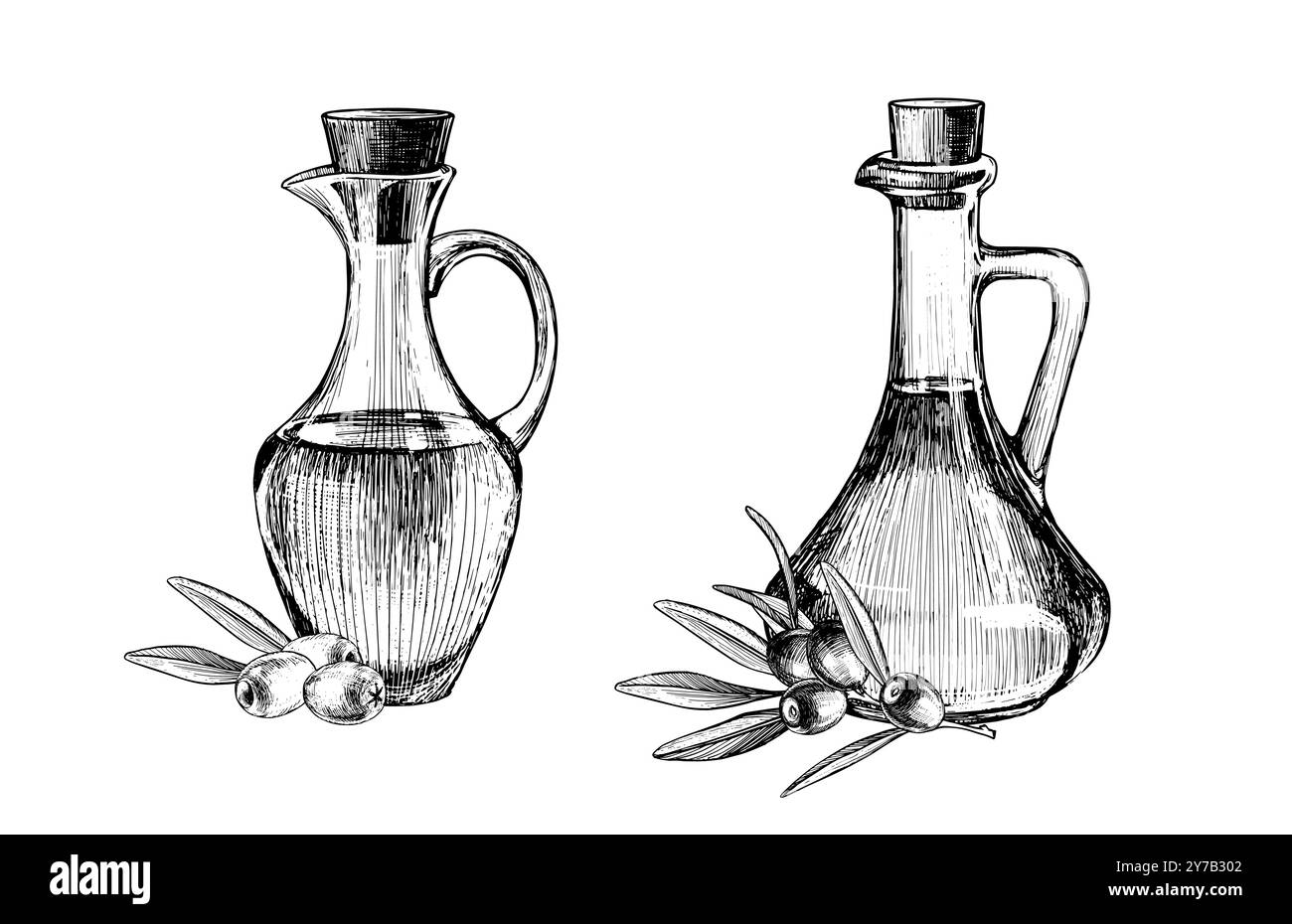 Pichet d'huile d'olive avec gravure de baies, dessin à la main vintage, illustration vectorielle isolée sur fond blanc. Bannière agricole. Illustration de Vecteur Pichet d'huile d'olive avec gravure de baies, dessin à la main vintage, illustration vectorielle isolée sur fond blanc. Bannière agricole. Illustration de Vecteur