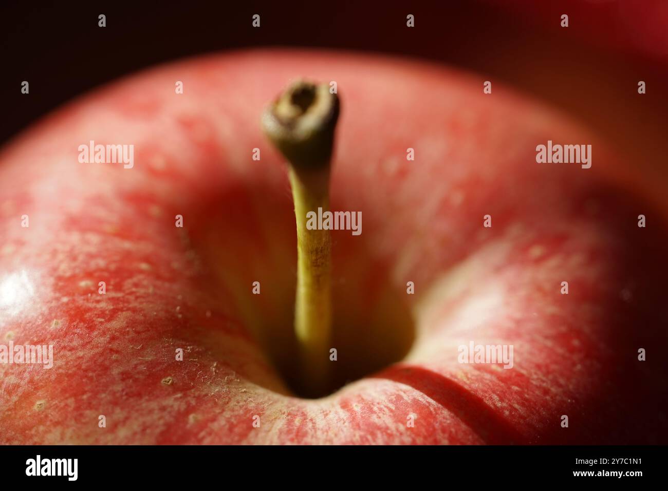 La tige verte d'une pomme rouge mûre, vue de dessus, isolée Banque D'Images