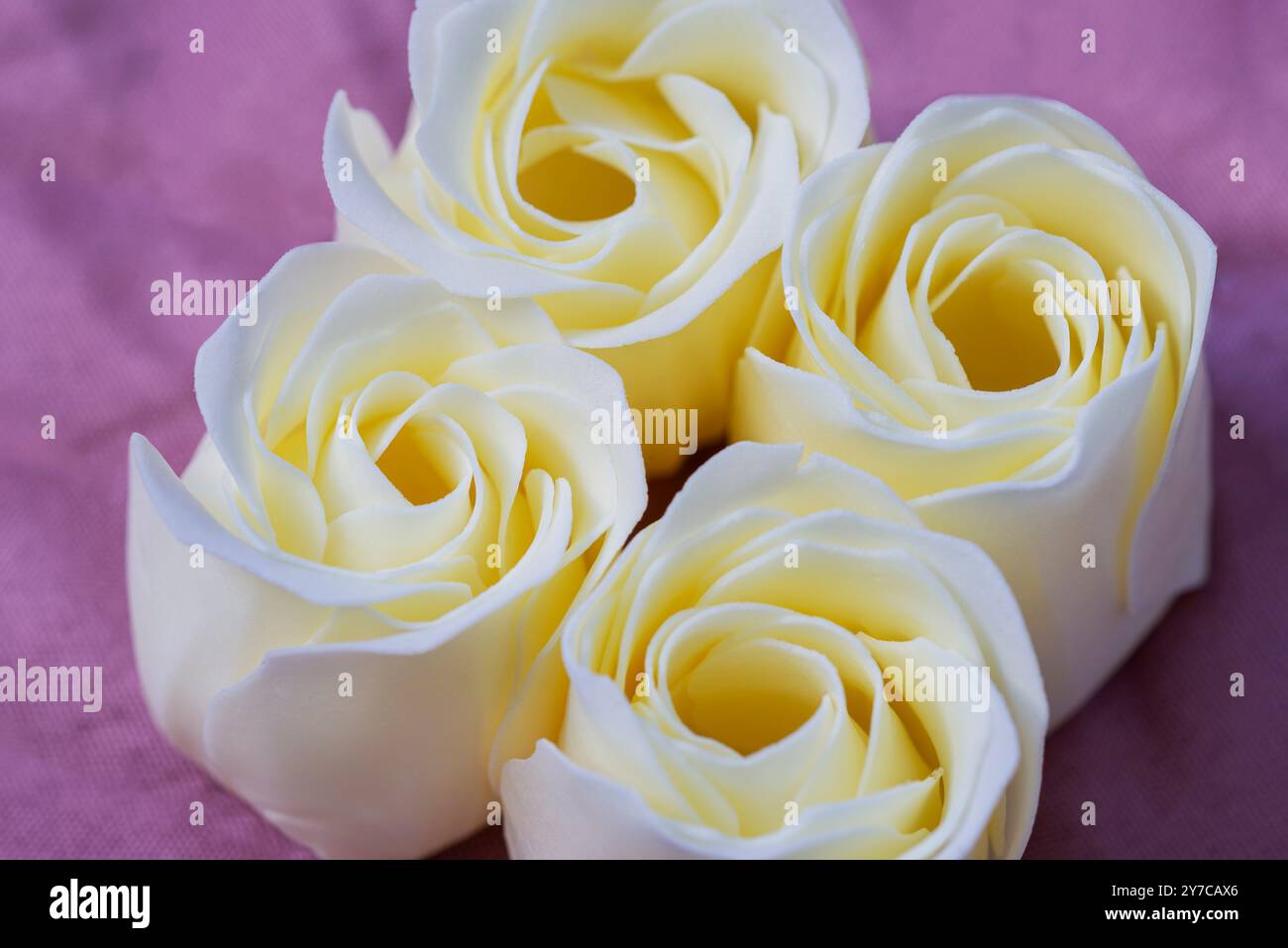 Roses de savon blanc sur un fond rose Banque D'Images