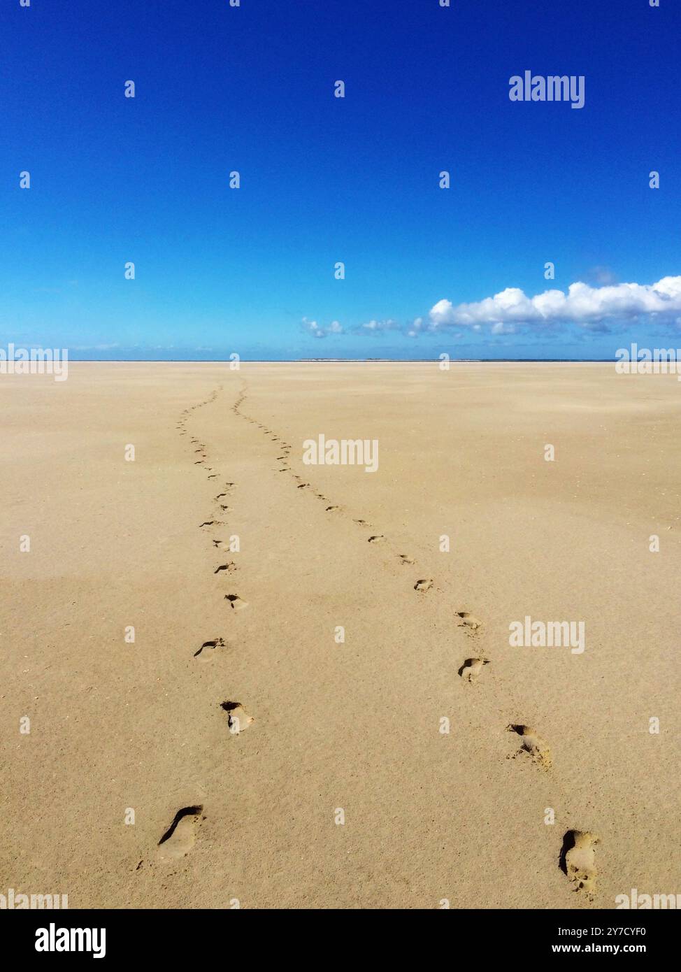 Empreintes de pas dans le sable sur une plage menant à la mer, Fanoe, Jutland, Danemark Banque D'Images