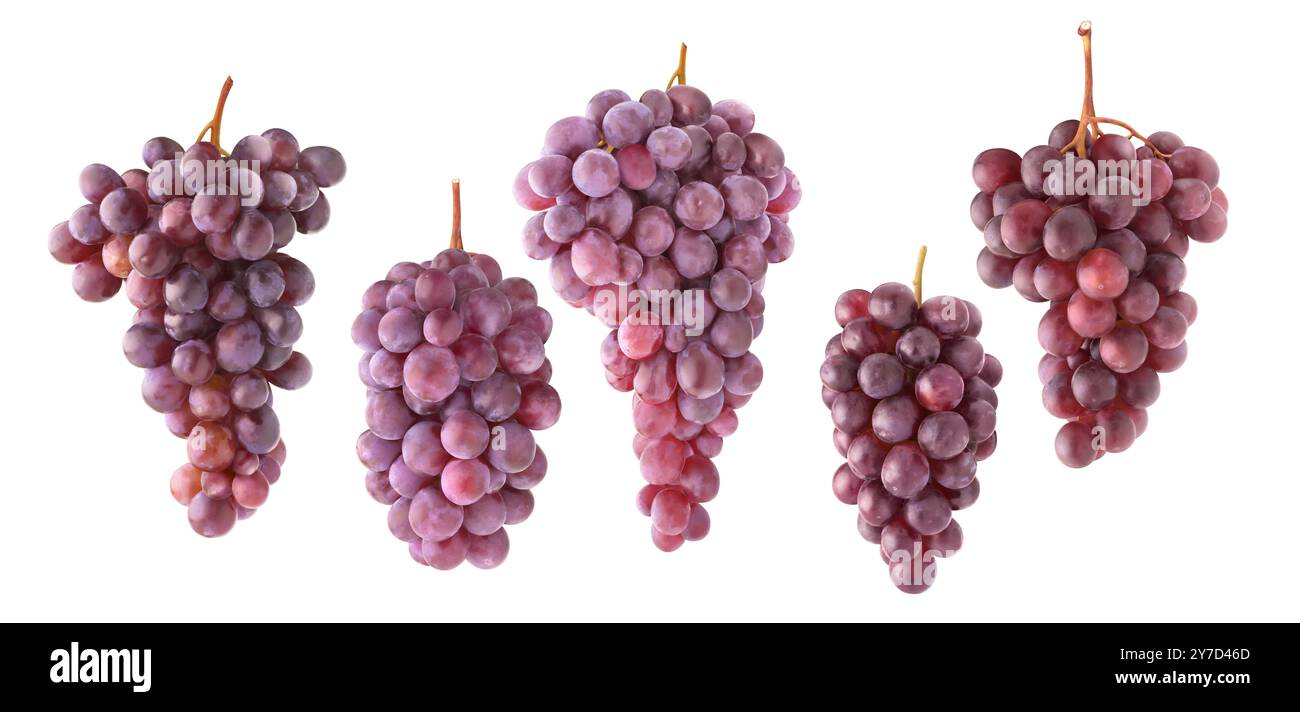 Collection de grappes de raisins rouges de différentes formes isolées sur fond blanc Banque D'Images
