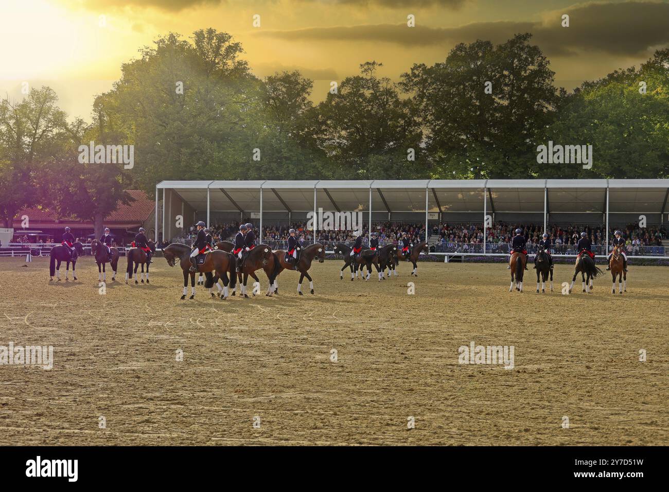 Haras de Warendorf, défilé des étalons, Jacobowski Quadrille Banque D'Images