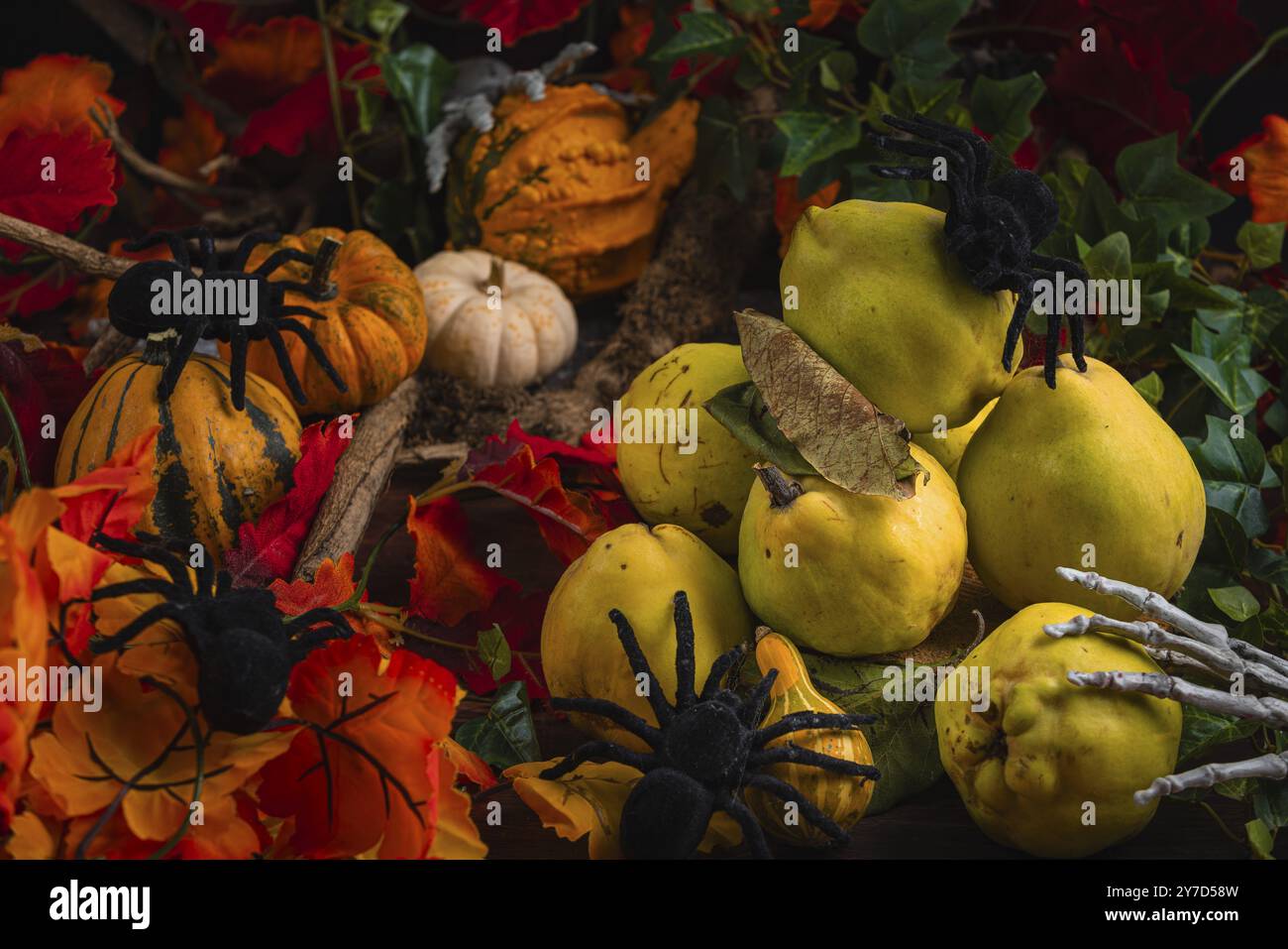 Nature morte d'Halloween avec coings, citrouilles, araignées et feuilles d'automne Banque D'Images