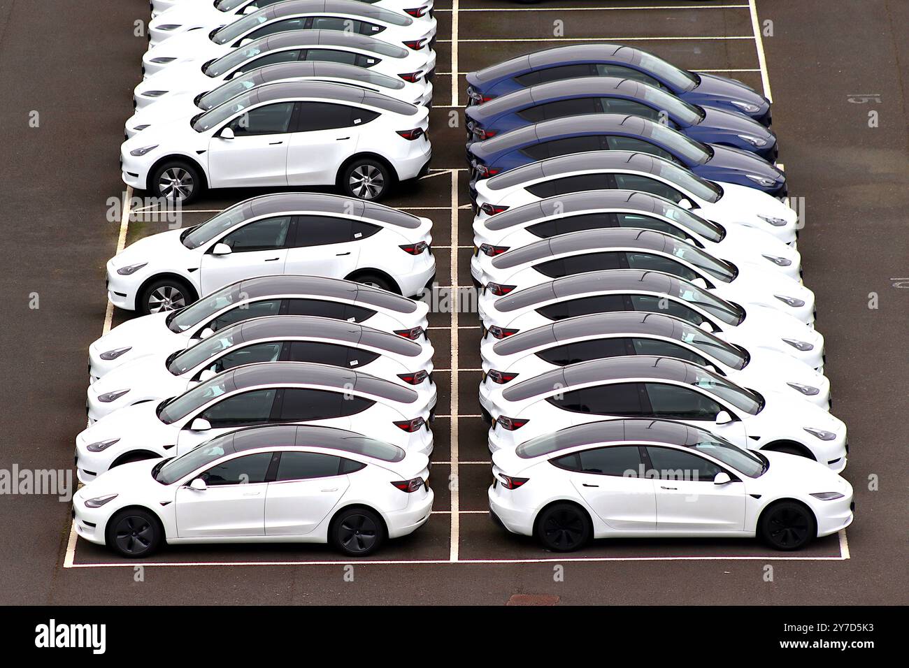 Les véhicules électriques Tesla stationnés symétriquement dans une zone d'attente de véhicules sur un quai britannique, en attente de distribution par des transporteurs de voitures aux concessions Tesla. Banque D'Images