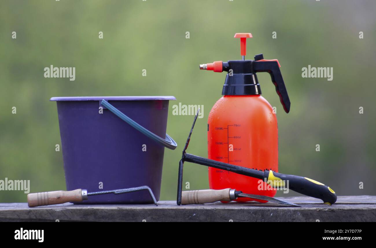 Outils de jardin sur planches en bois. Pulvérisateur à godets et outils de jardin Banque D'Images