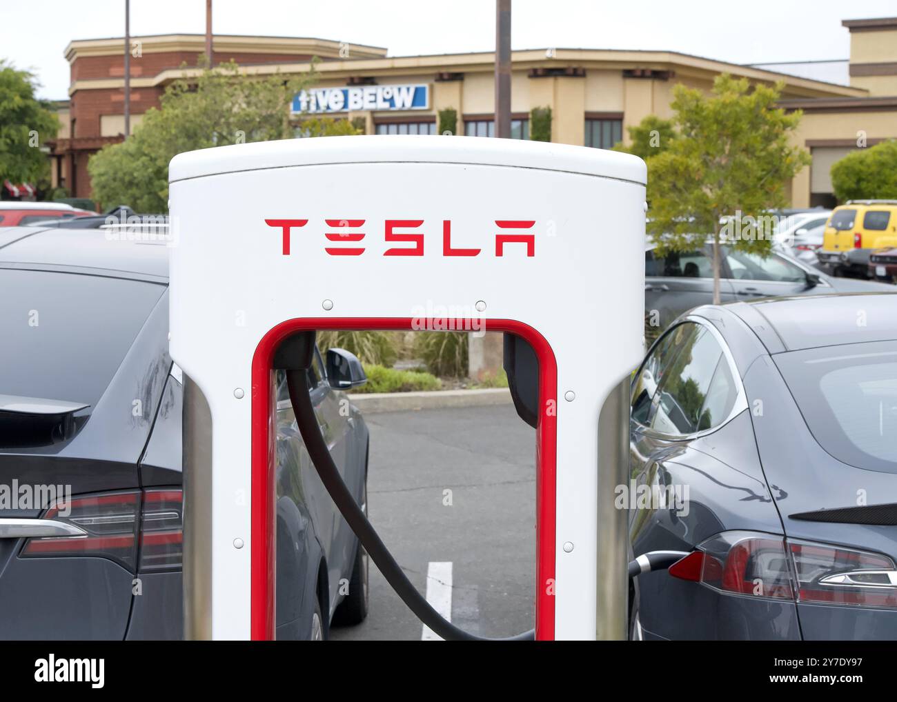 Alameda, CA - 25 mai 2024 : gros plan sur la station de Superrecharge Tesla branchée sur EV. Les stations Tesla Supercharger permettent aux voitures Tesla d'être rapidement chargées A. Banque D'Images