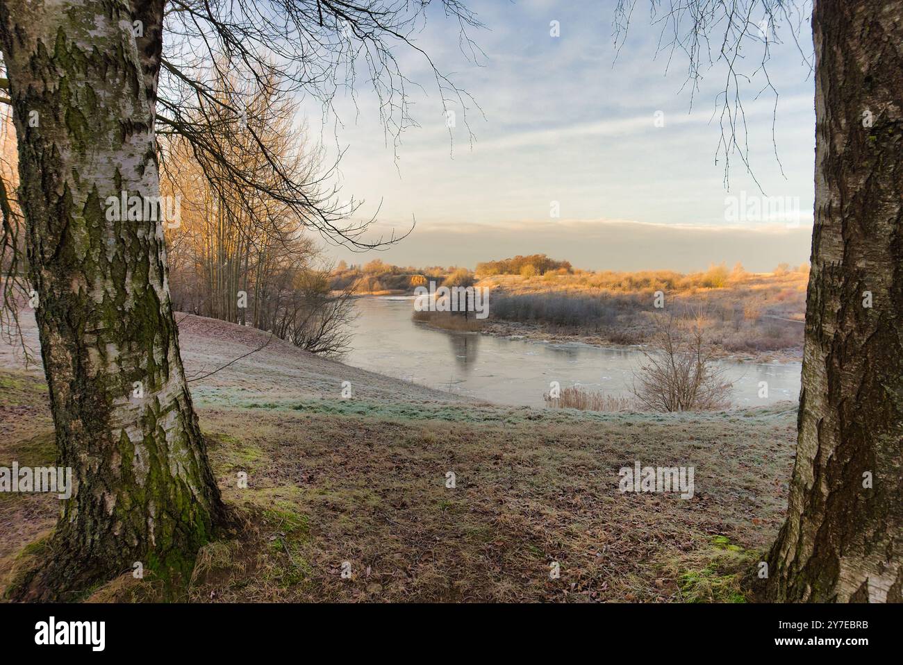 Scène hivernale sereine avec des arbres givrés et une rivière tranquille. La lumière douce et l'air frais créent une atmosphère apaisante dans ce cadre naturel Banque D'Images