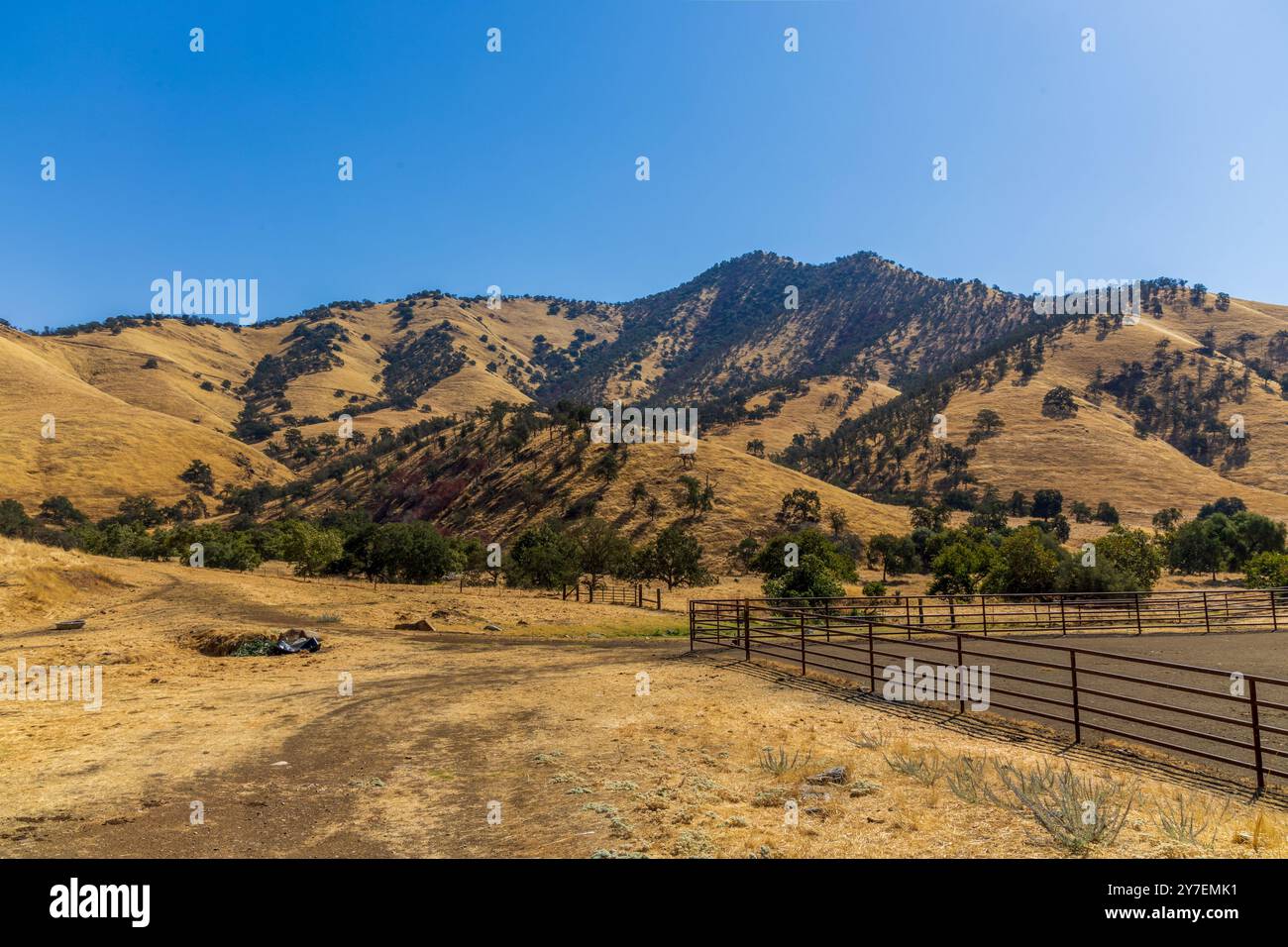 Paysage rural en Californie. Campagne des États-Unis Banque D'Images