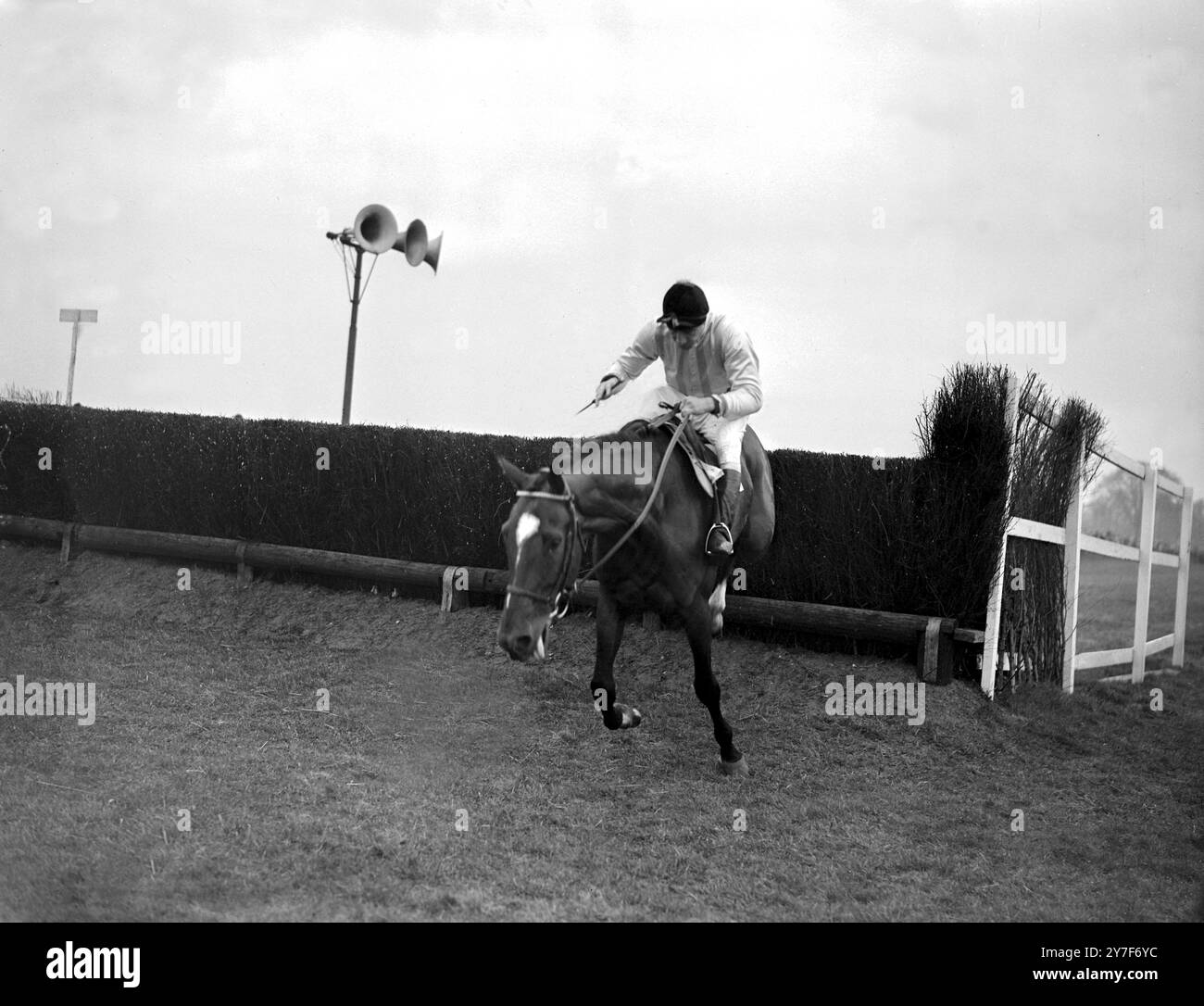 Jockey Tony Grantham sur le cheval Queens Manicou 1951 Banque D'Images