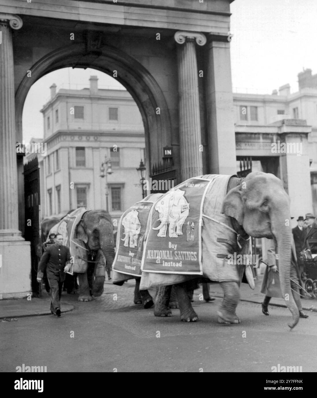 Défilé d'éléphants. Les œuvres de Londres ont été étonnées de voir six wlephants passer par Hyde Park Corner en route pour Olympia pour le cirque de Noël de Bertram Mills. Les elepants ont affiché des affiches comme un « appel » du Comité national de l'épargne au public pour stimuler l'épargne nationale Banque D'Images