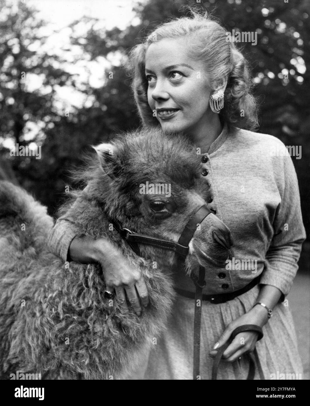 Michaela Denis à Whipsnade Zo en 1954. Elle et son mari Armande étaient des stars de la télévision populaires des années 1950 et 1960 avec leurs séries incluant Wild Animals, Filming in Africa et on Safari. Banque D'Images