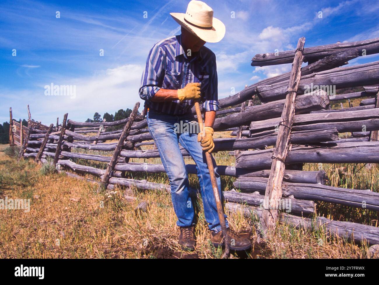 Un vieil homme creusant un trou dans le sol sur un terrain de ranch. Banque D'Images Un vieil homme creusant un trou dans le sol sur un terrain de ranch. Banque D'Images