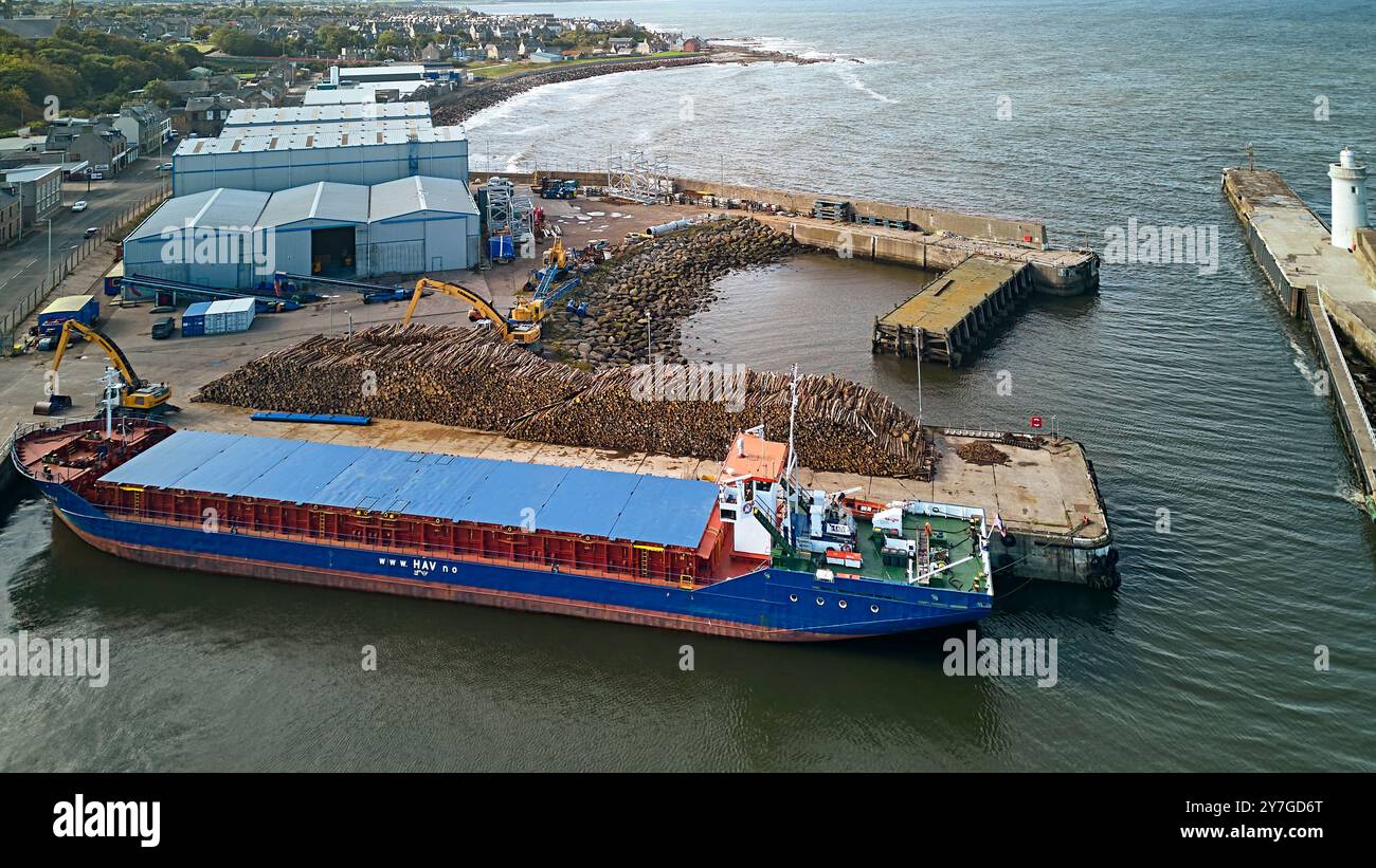 Buckie Harbour Moray Coast Scotland HAV MARLIN navire amarré battant pavillon d'Antigua-et-Barbuda et tas de grumes pour la pâte de bois en attente d'être chargé Banque D'Images