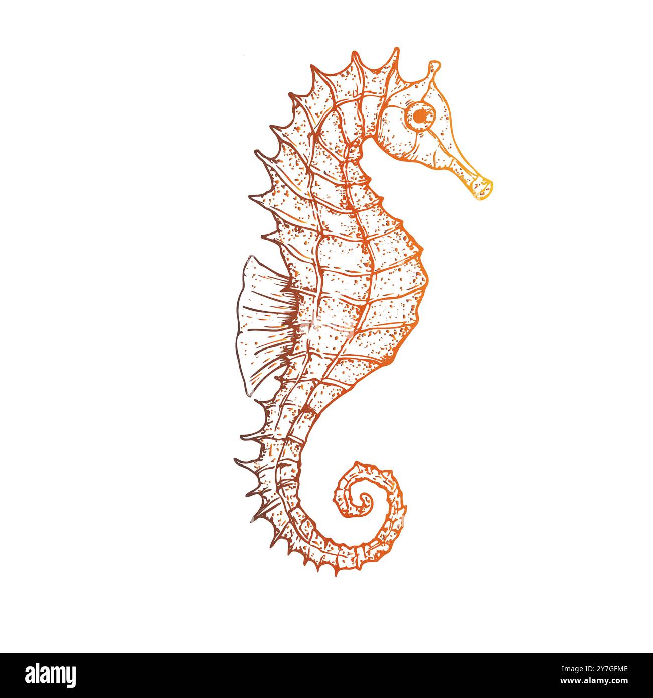 Hippocampe vecteur. Ligne peinte à la main Clip art tropical graphique isolé sur fond. Illustration sous-marine. Pour les designers, invitations, décorat Illustration de Vecteur