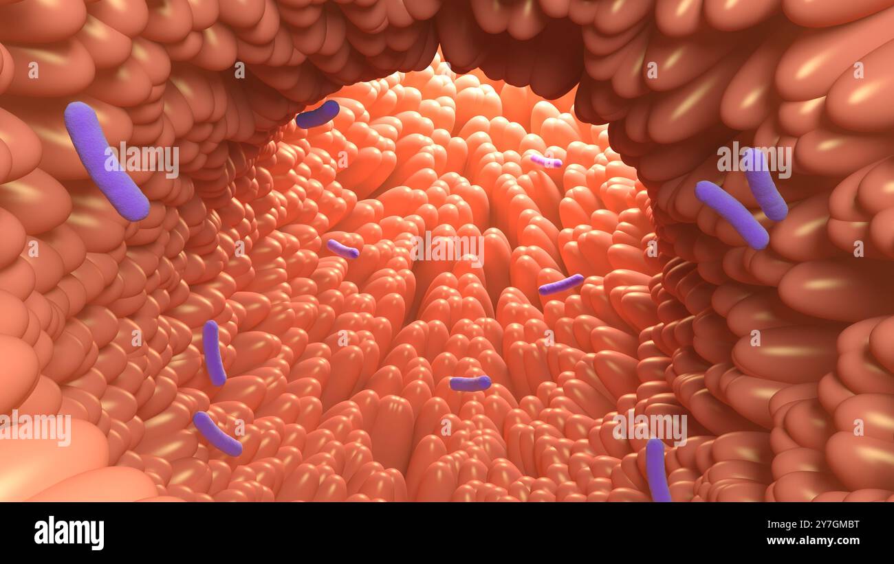 Villosités intestinales et bactéries. Intestin humain. illustration 3d. Banque D'Images