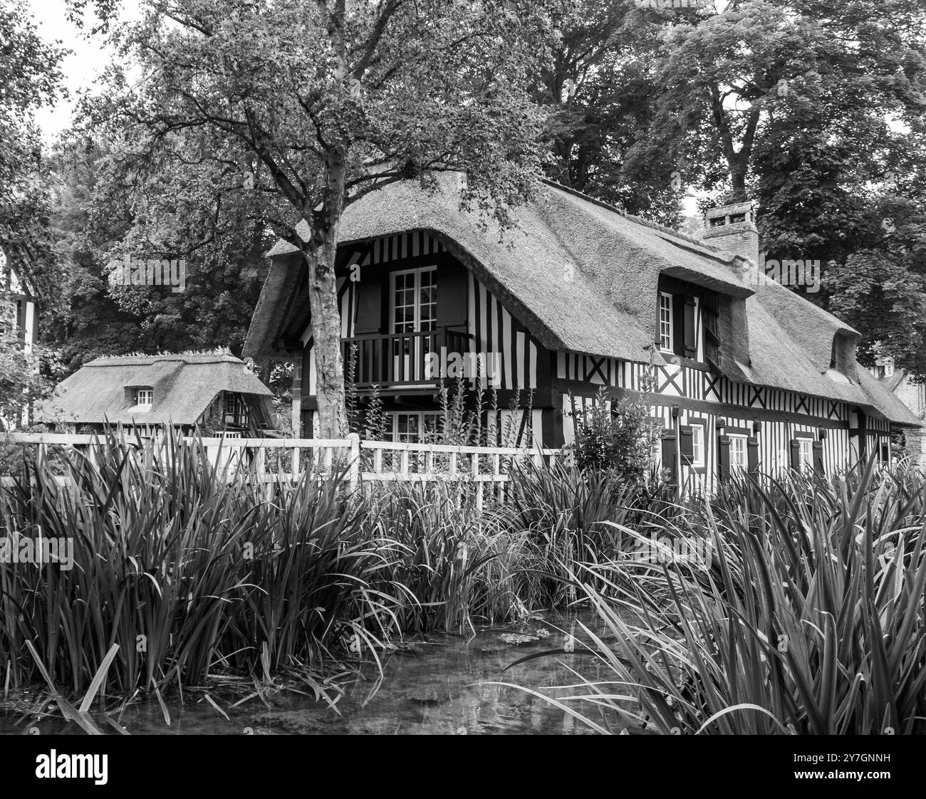 Cache-thièreère Frances Worters – Chalet De Chaume Confortable – Neuf Avec étiquette