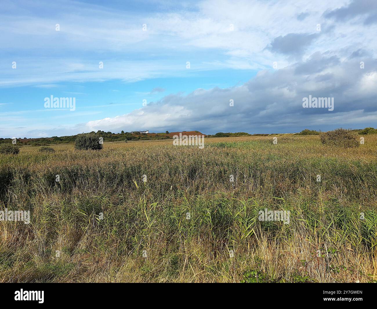 Scène de plage dans le comté de Suffolk, Royaume-Uni. Banque D'Images