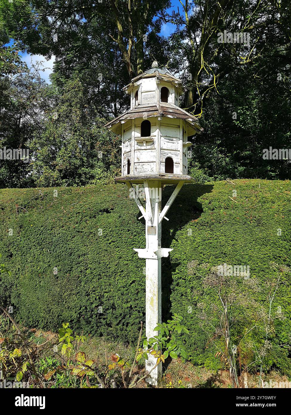 Gros plan d'un pigeonnier dans un cadre de jardin. Banque D'Images