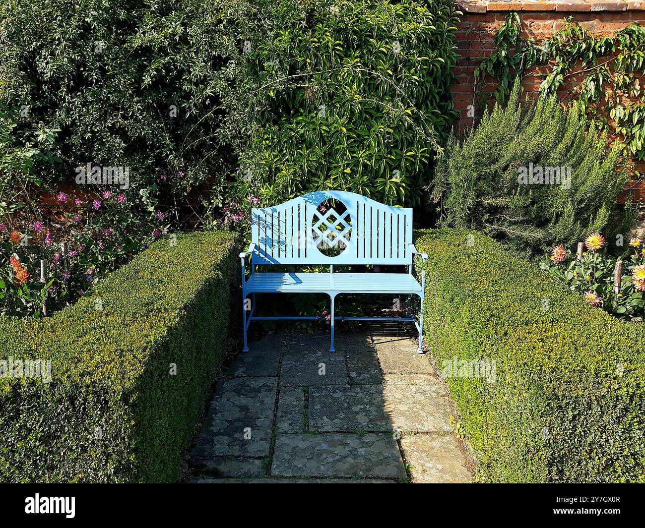 Un siège de jardin avec haie de box dans le comté de Suffolk, Royaume-Uni. Banque D'Images