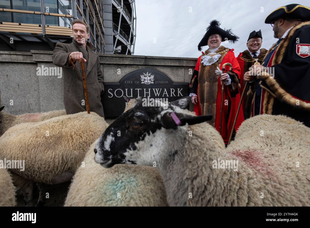 Damian Lewis mène la London Sheep Drive sur Southwark Bridge alors que les Freemen de la City de Londres exercent leur droit de conduire des moutons à travers la Tamise. Banque D'Images