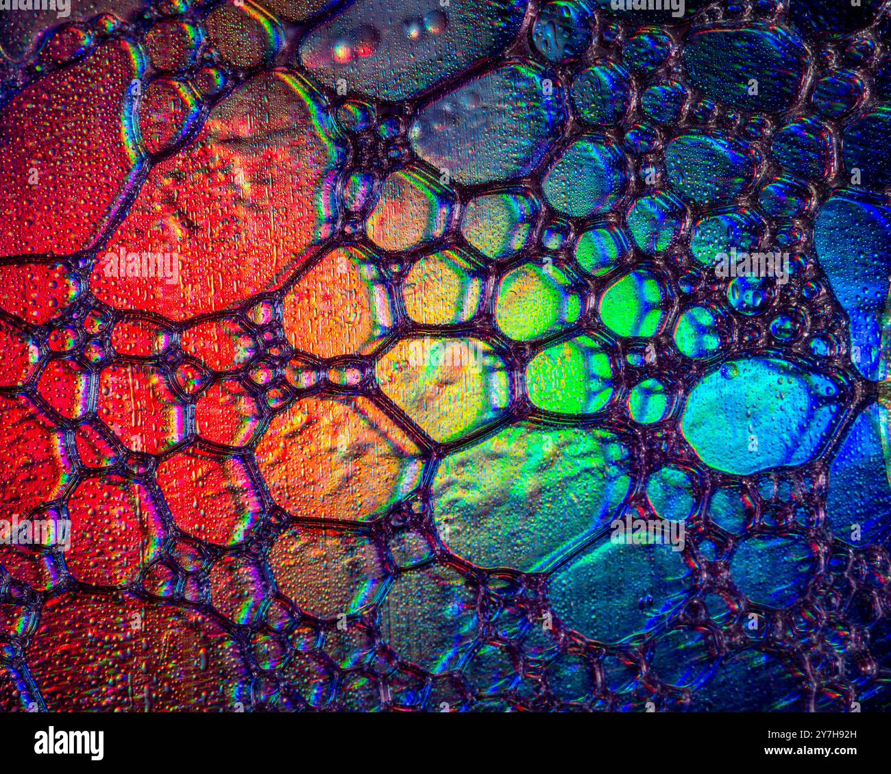 Une photo macro montrant des motifs et des couleurs de gouttes d'huile flottant sur une eau. Banque D'Images