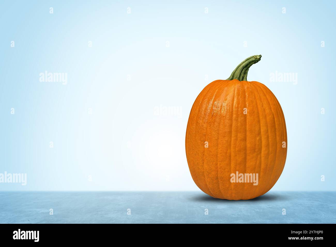 Citrouille sur un fond bleu clair comme concept de saison d'Halloween et symbole de citrouilles d'automne de Thanksgiving comme célébration saisonnière d'automne comme octobre Banque D'Images