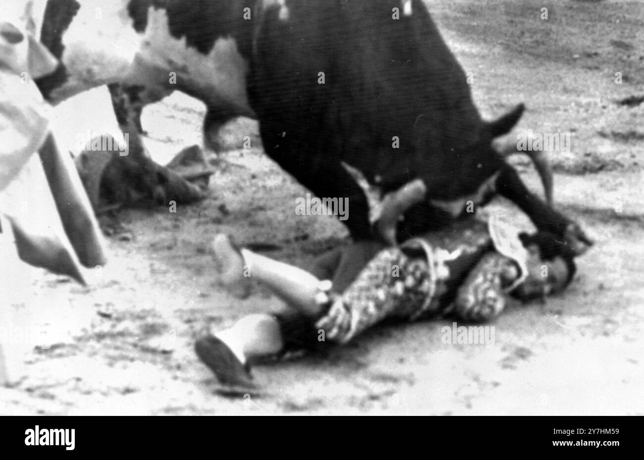 BULL COMBAT DIEGO PUERTO EN DIFFICULTÉ LORS DE CORRIDA À MADRID, ESPAGNE ; 24 MAI 1964 Banque D'Images