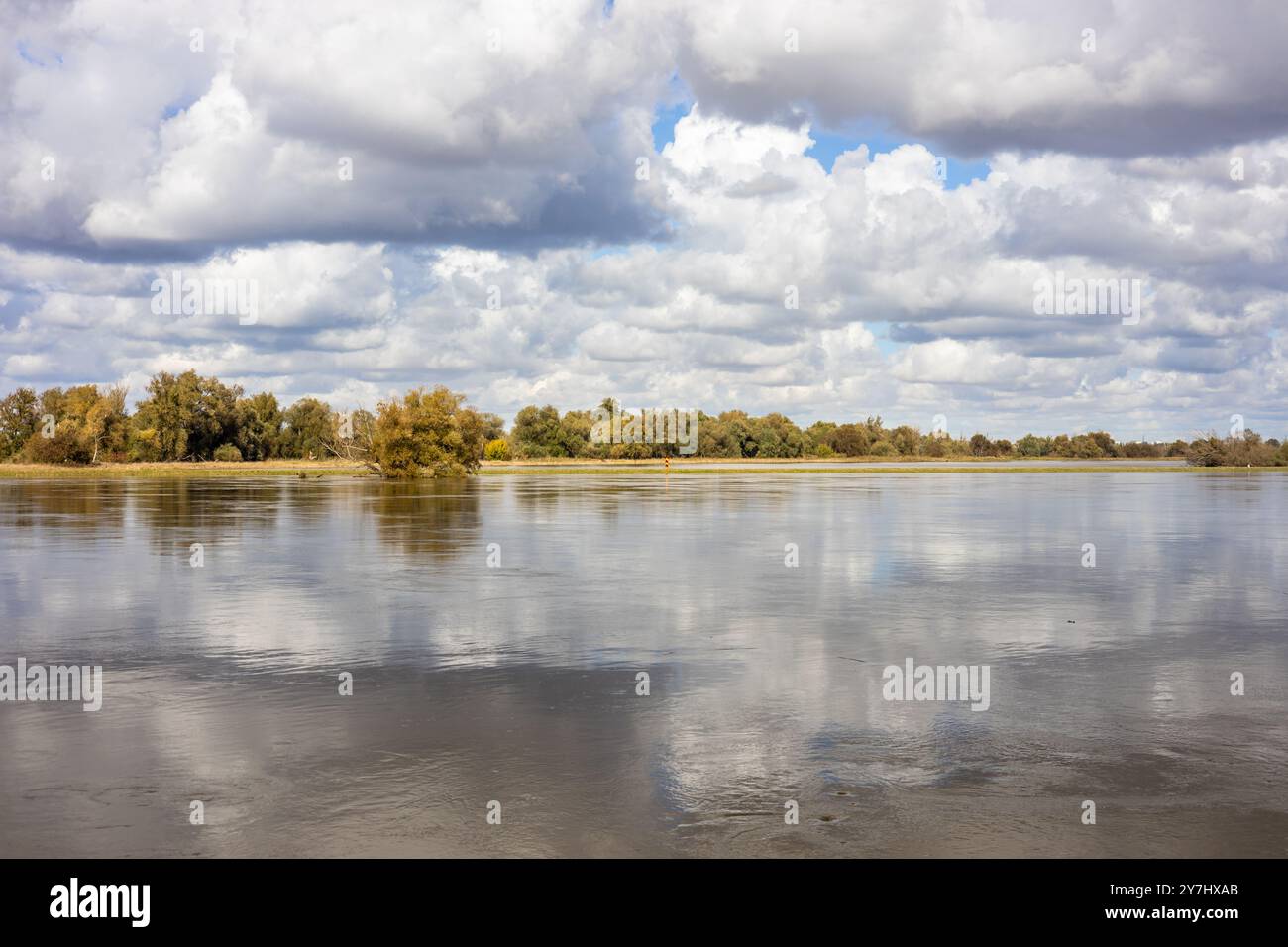 Paysage de la pittoresque rivière Odra étendue sur la frontière polono-allemande. Concept. Menace et beauté de la nature Banque D'Images