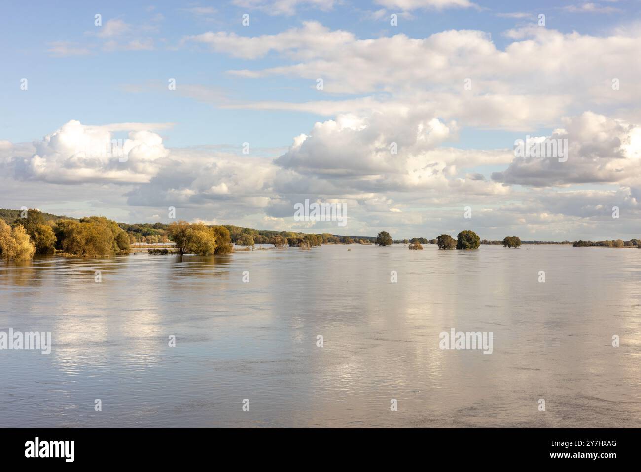 Paysage de la pittoresque rivière Odra étendue sur la frontière polono-allemande. Concept. Menace et beauté de la nature Banque D'Images