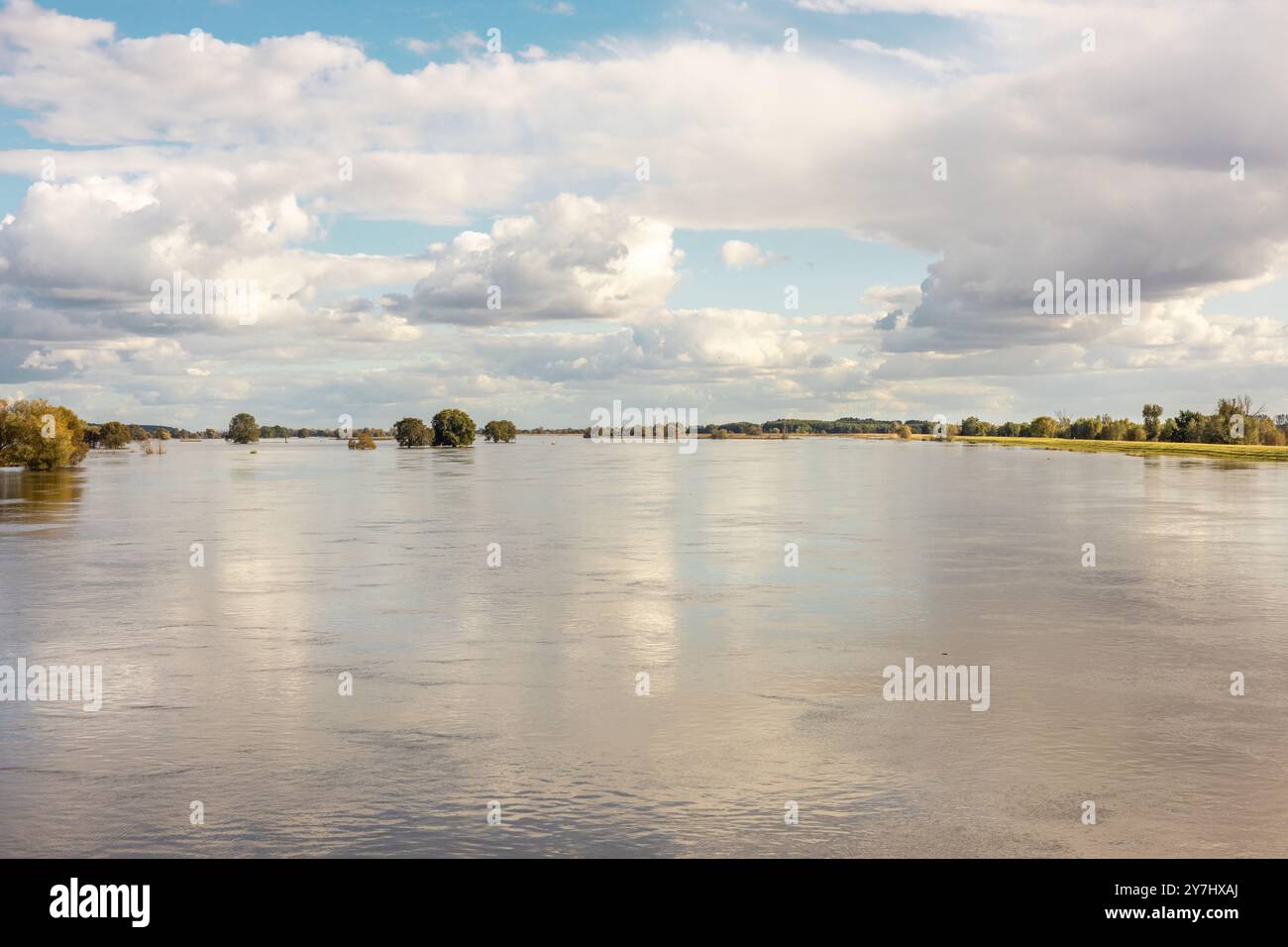 Paysage de la pittoresque rivière Odra étendue sur la frontière polono-allemande. Concept. Menace et beauté de la nature Banque D'Images