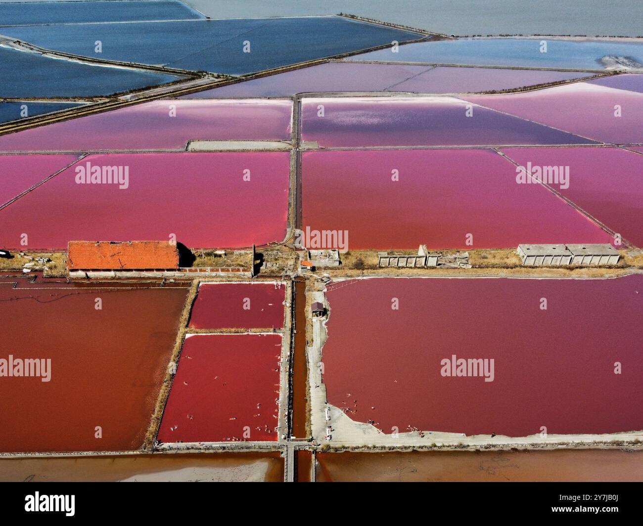Les gens se baignent dans les piscines salées des marais salants Burgas. La lessive de mer Noire a un effet médicinal prouvé. Banque D'Images