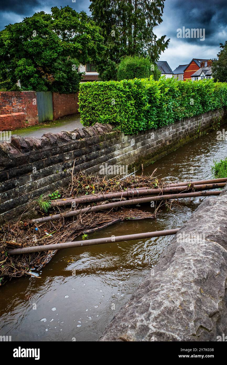 Débris bloquant l'écoulement de l'eau dans un ruisseau urbain à Whitchurch, Cardiff, pays de Galles, Royaume-Uni. Crues soudaines. Inondation. Environnement. Conditions météorologiques extrêmes. Pluies Banque D'Images