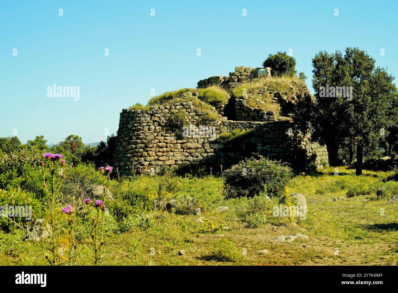 Zone archéologique de ​​Loelle, Buddusò et route nationale Correboi. Province de Nuoro, Sardaigne, Italie Banque D'Images