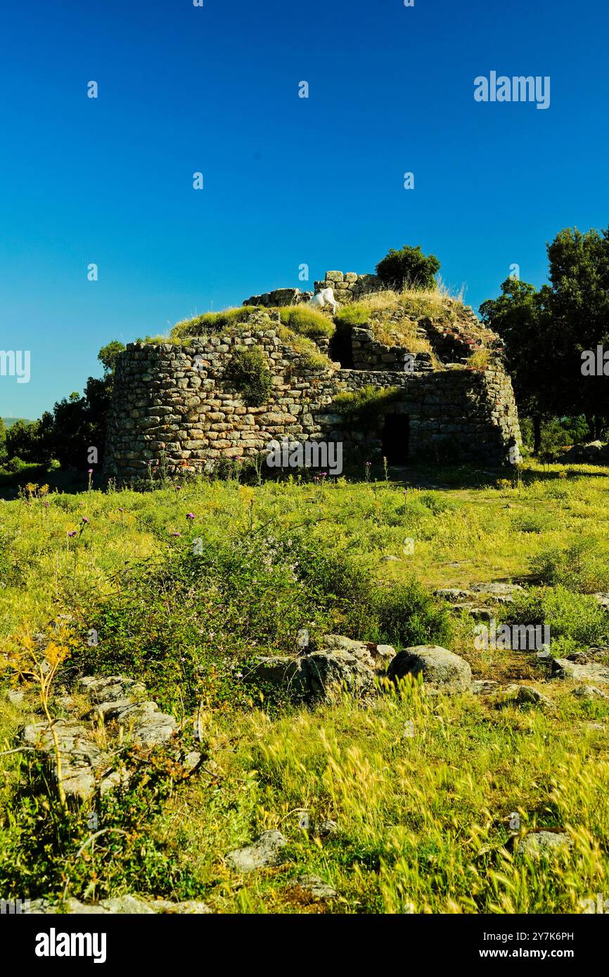 Zone archéologique de ​​Loelle, Buddusò et route nationale Correboi. Province de Nuoro, Sardaigne, Italie Banque D'Images