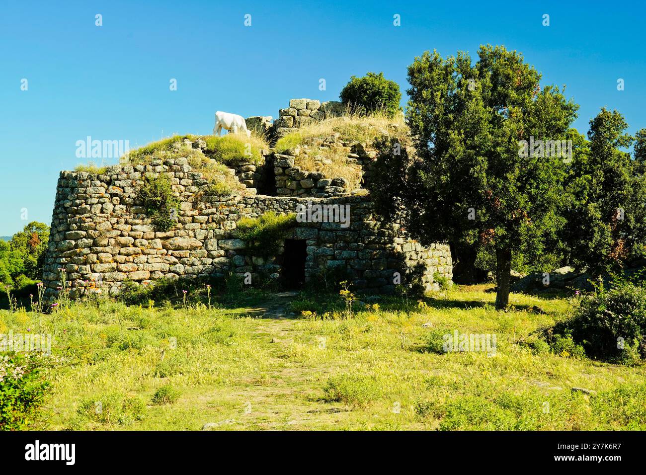 Zone archéologique de ​​Loelle, Buddusò et route nationale Correboi. Province de Nuoro, Sardaigne, Italie Banque D'Images