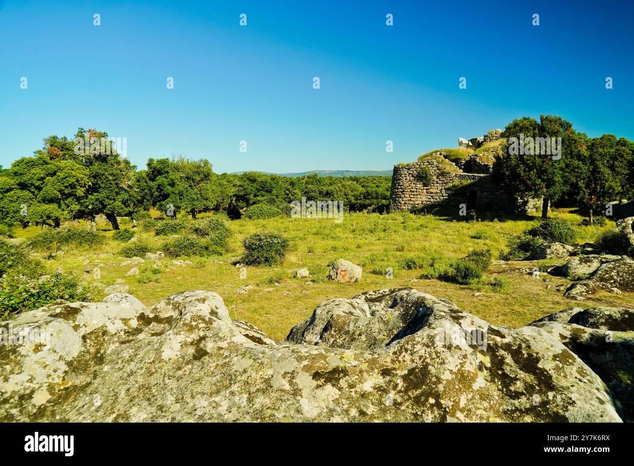 Zone archéologique de ​​Loelle, Buddusò et route nationale Correboi. Province de Nuoro, Sardaigne, Italie Banque D'Images