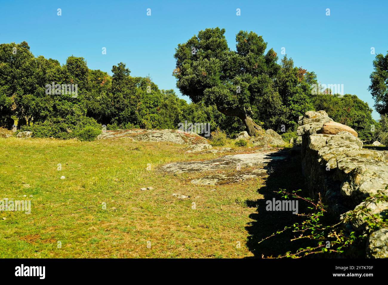 Zone archéologique de ​​Loelle, Buddusò et route nationale Correboi. Province de Nuoro, Sardaigne, Italie Banque D'Images