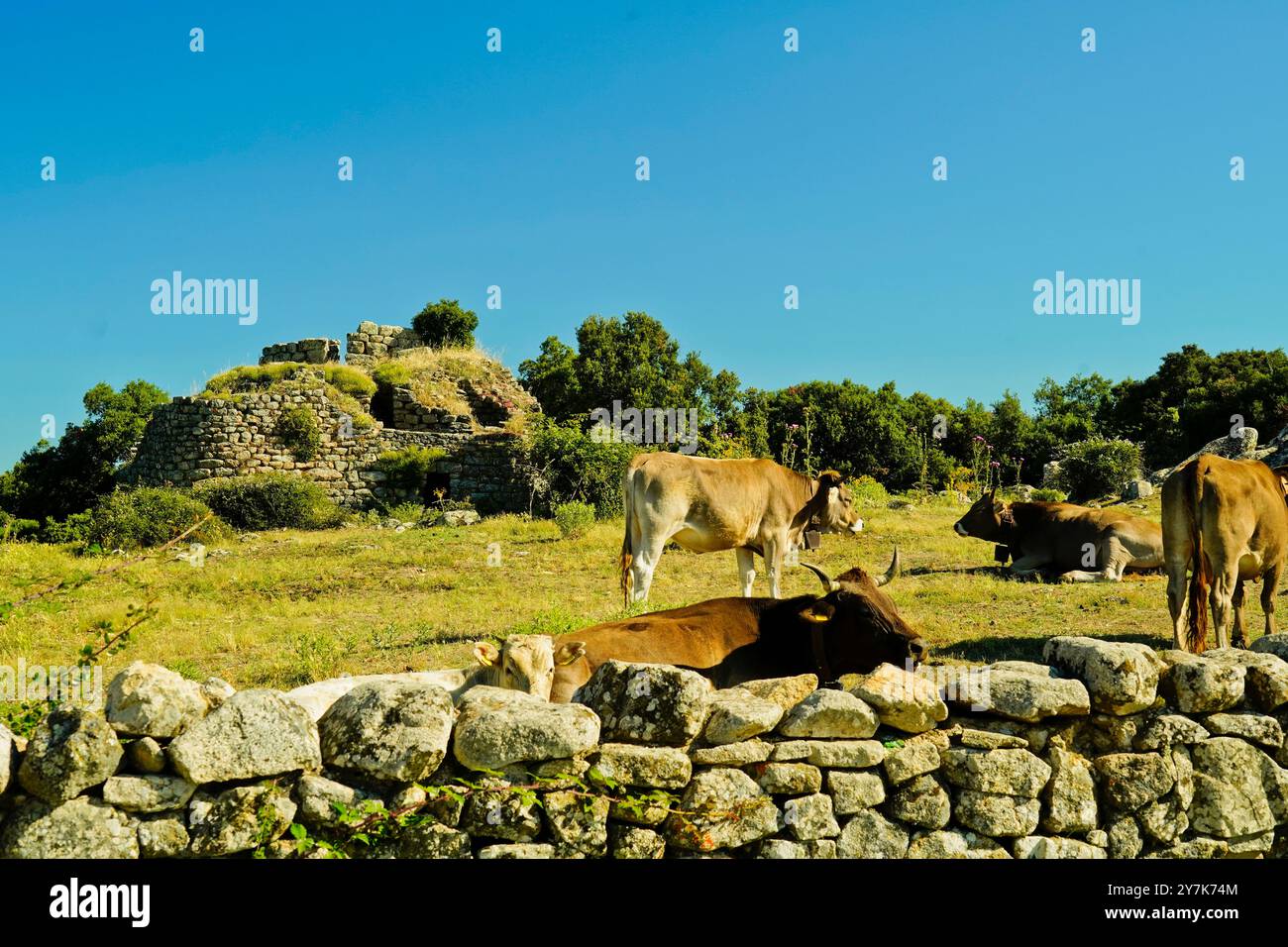 Zone archéologique de ​​Loelle, Buddusò et route nationale Correboi. Province de Nuoro, Sardaigne, Italie Banque D'Images
