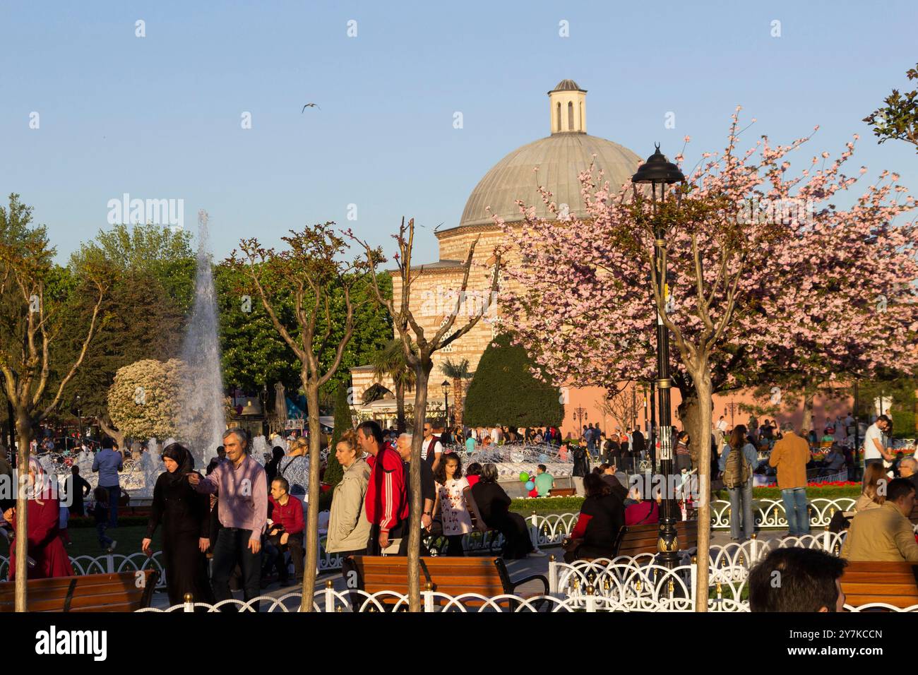 Couleurs printanières vibrantes cerisiers en fleurs et dôme historique dans le parc de la ville à ıstanbul, turquie Banque D'Images