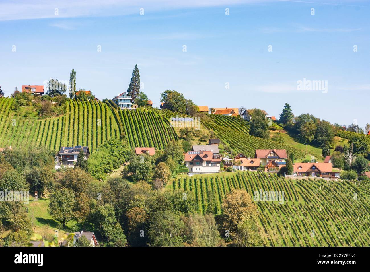 Sankt Stefan ob Stainz : vignoble du hameau Neuberg, Schilcherland (région viticole de Schilcher) à Süd-Steiermark, Steiermark, Styrie, Autriche Banque D'Images