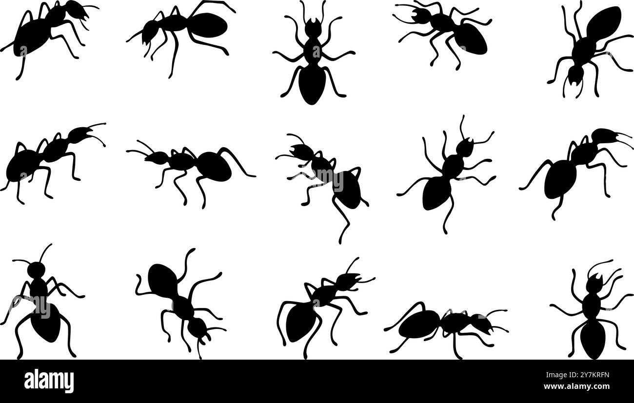 Silhouettes de fourmis noires. Fourmis isolées qui marchent. Travail dans la colonie d'insectes au sol. Insecte plat, nature organique caractères vecteur néotérique Illustration de Vecteur